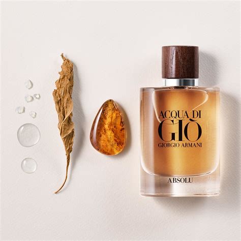 acqua di gio absolu parfum